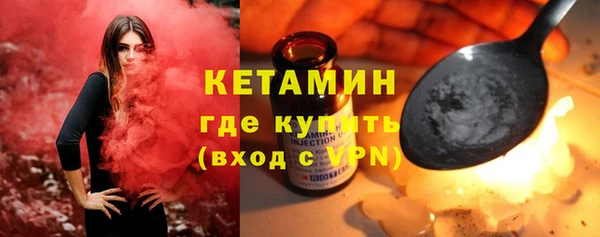 стаф Тайга