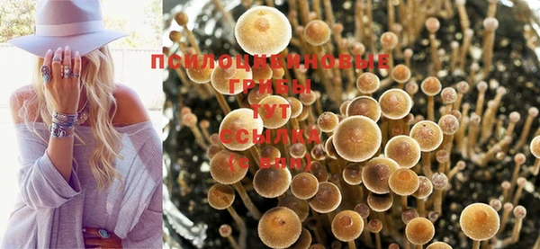 мескалин Армянск