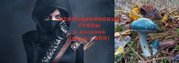 МДПВ Арсеньев