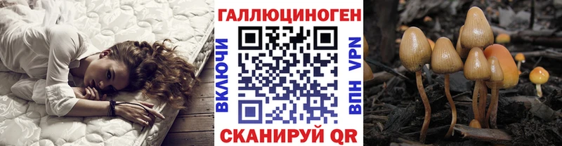 Псилоцибиновые грибы Magic Shrooms  Новохопёрск 